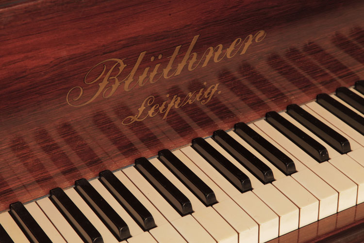 Bluthner manufacturer's logo on fall