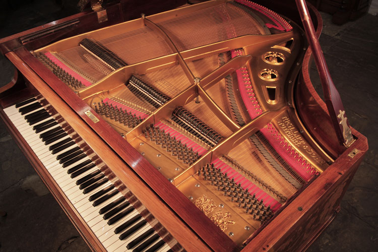 Lipp restored  instrument