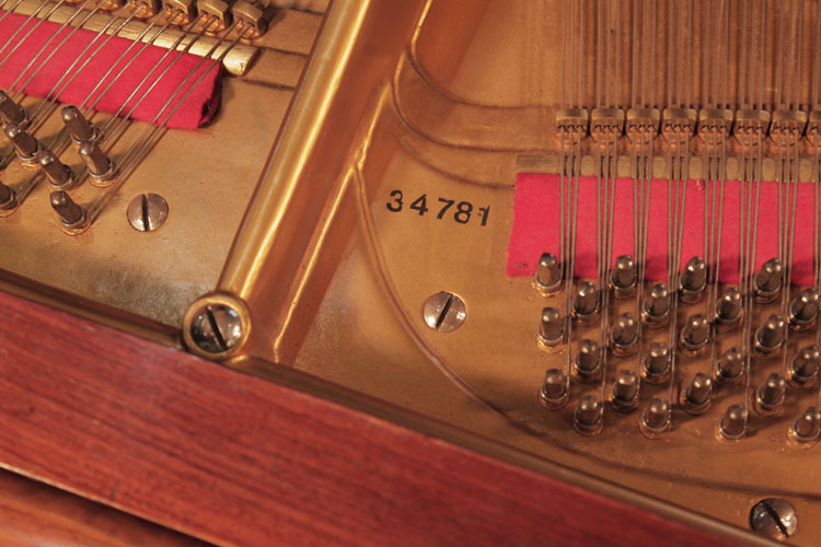 Lipp piano serial number