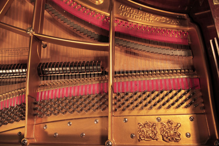 Lipp restored instrument 