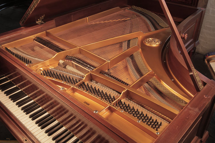 Schiedmayer  instrument