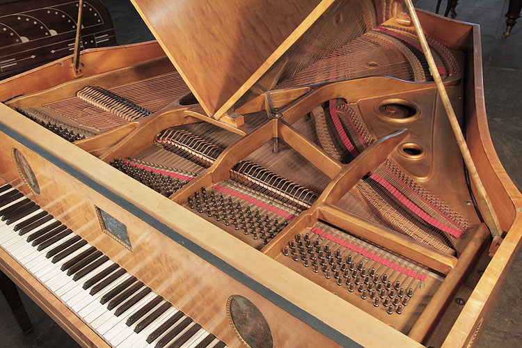 Soren Jensen instrument beneath the butterfly lid