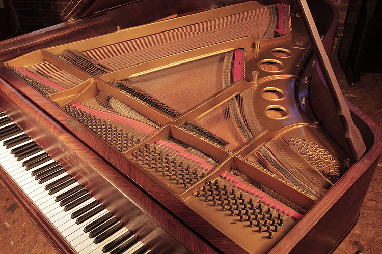 Steinway instrument