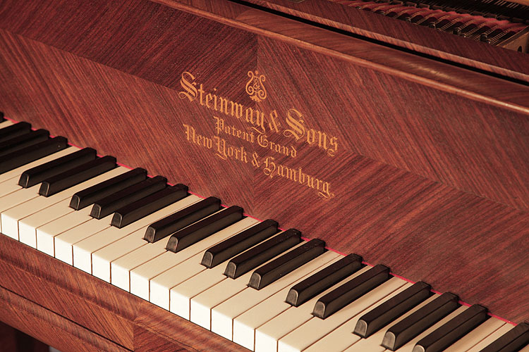 	Steinway piano manufacturers logo on fall