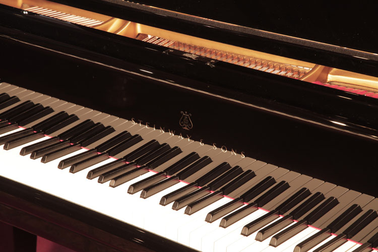 	Steinway piano manufacturers logo  on fall