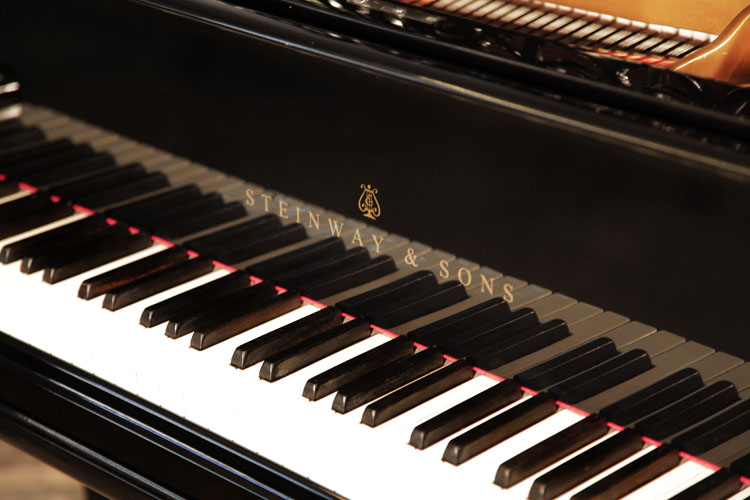 Steinway piano manufacturers logo on fall