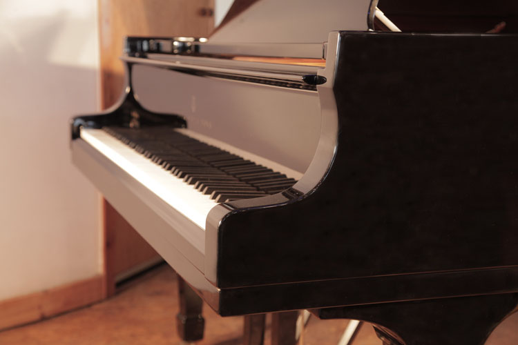 Steinway Model A   piano cheek 