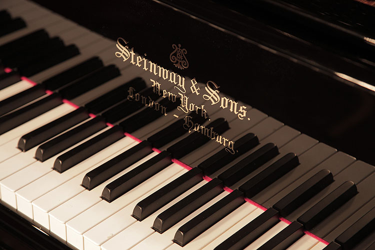 	Steinway piano manufacturers logo  on fall