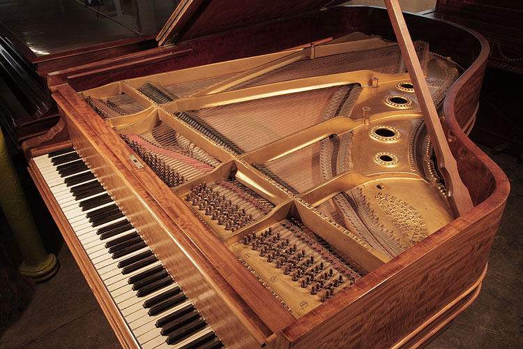 Steinway instrument