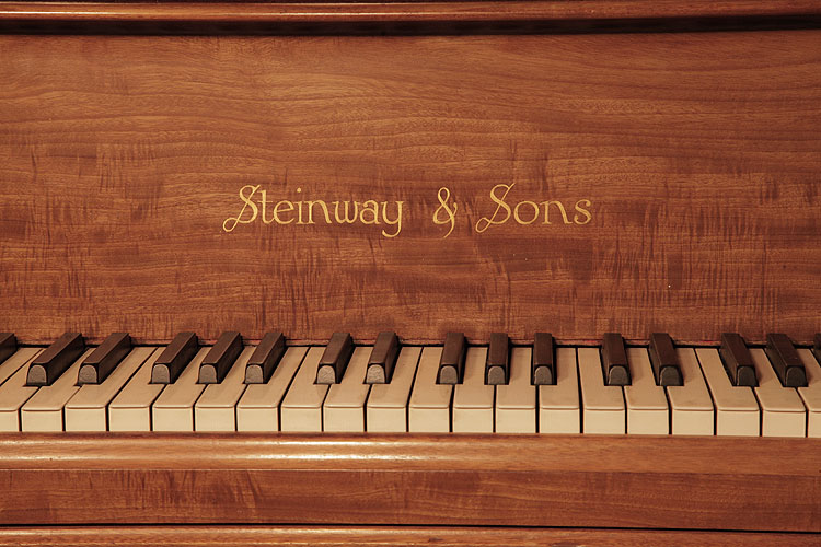 	Steinway piano manufacturers logo inlaid on fall