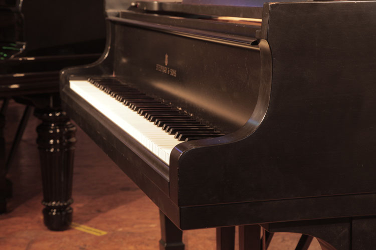 Steinway Model B  piano cheek  