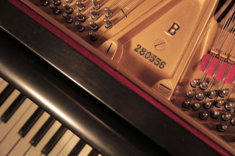Steinway piano serial number on frame