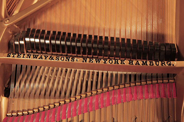 Steinway, Made in Hamburg