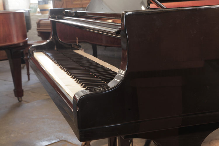 Steinway Model B  piano cheek  
