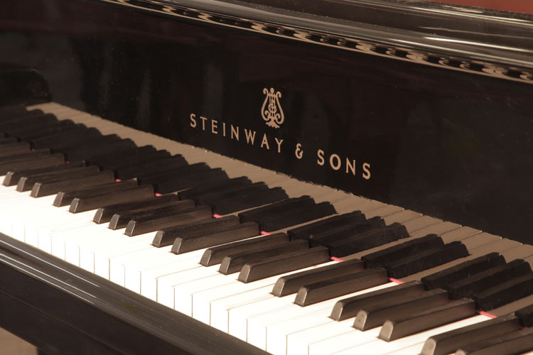 Steinway piano manufacturers logo on fall