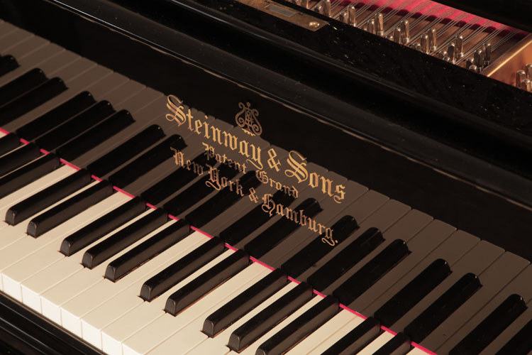 Steinway piano manufacturers logo on fall