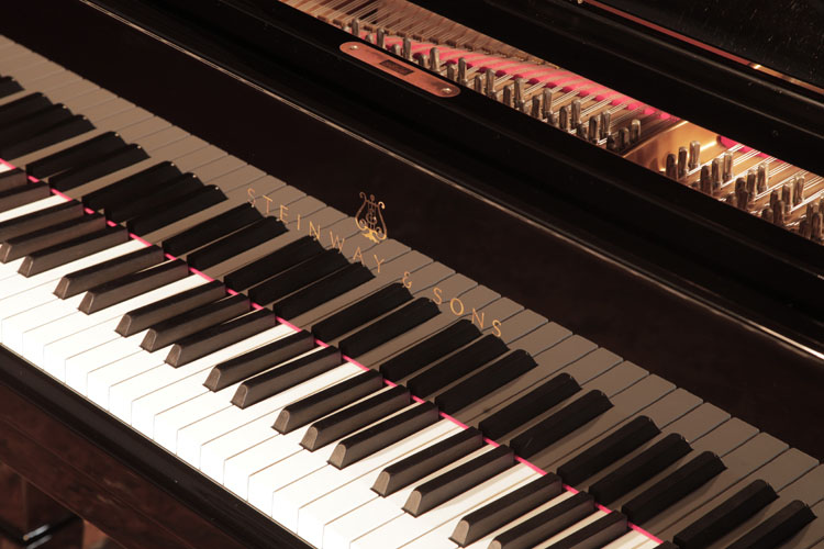 	Steinway piano manufacturers logo  on fall