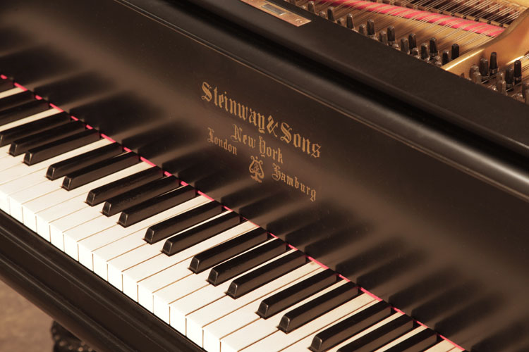 Steinway piano manufacturers logo on fall