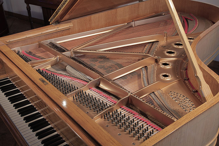 Steinway instrument