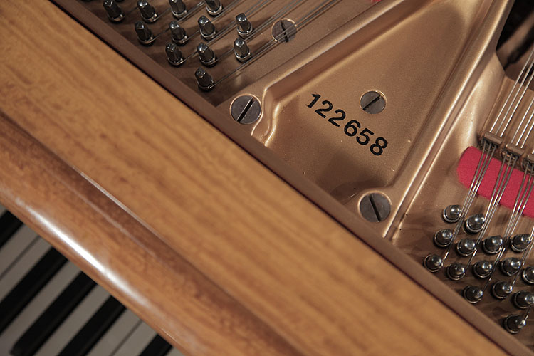 Steinway piano serial number on frame