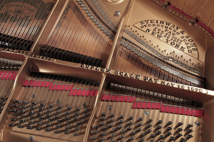 Steinway instrument 