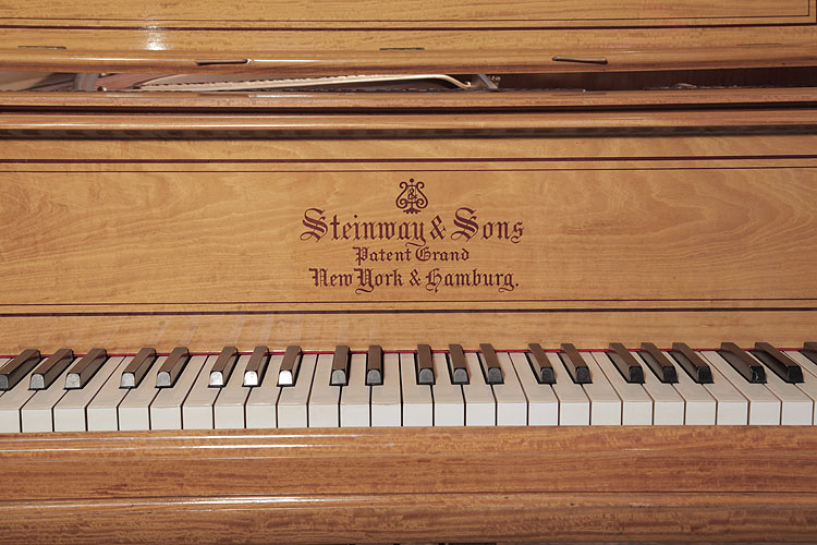 Steinway piano manufacturers logo on fall