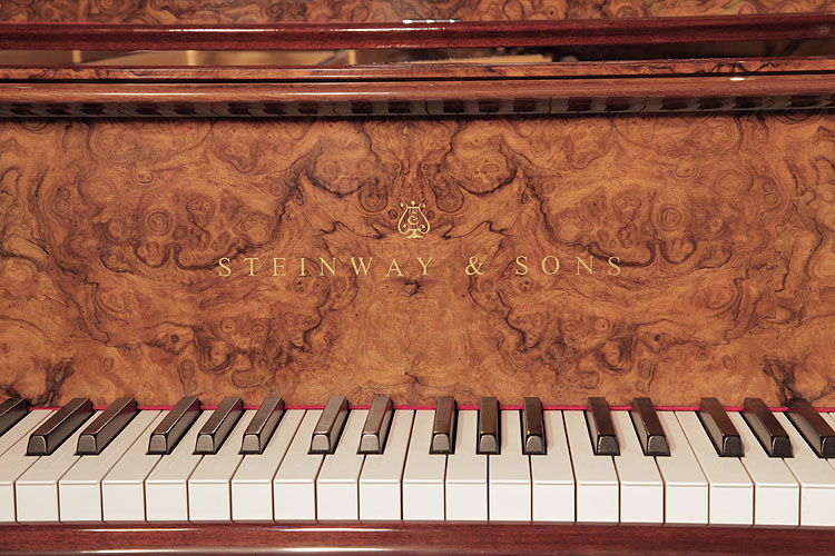 Steinway Model D manufacturers name on fall