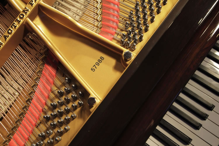 Steinway Model D piano serial number