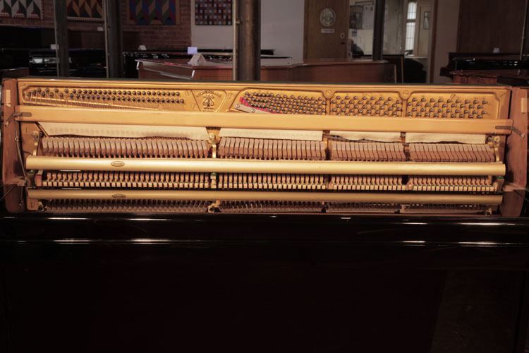 	Steinway reconditioned instrument