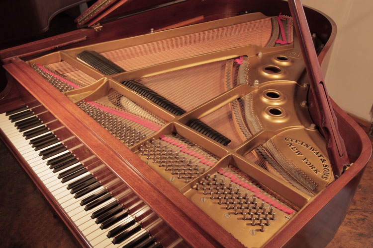 Steinway   instrument