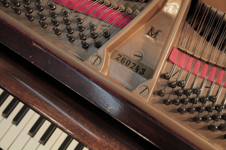 Steinway piano serial number