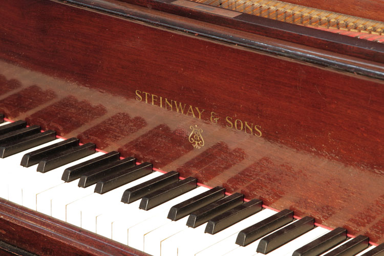 Steinway piano manufacturers logo on fall