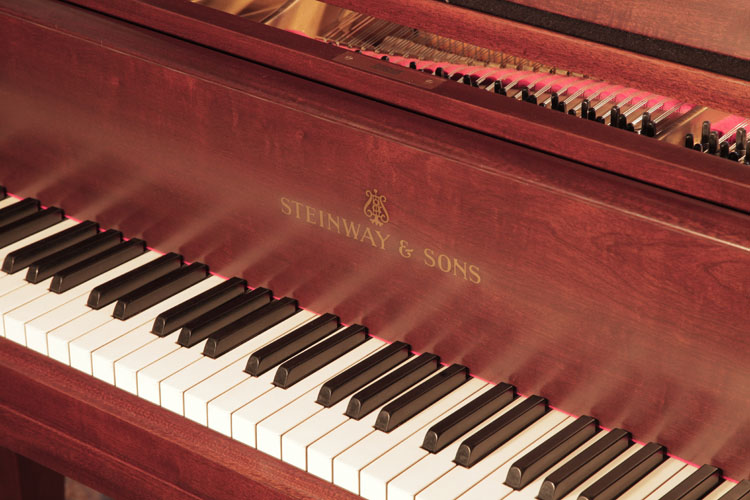Steinway piano manufacturers logo on fall