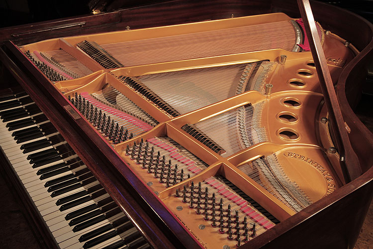 Steinway   instrument