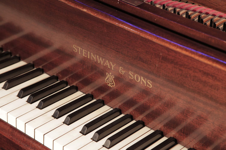 Steinway piano manufacturers logo on fall