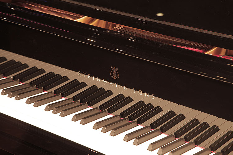 Steinway piano manufacturers logo on fall