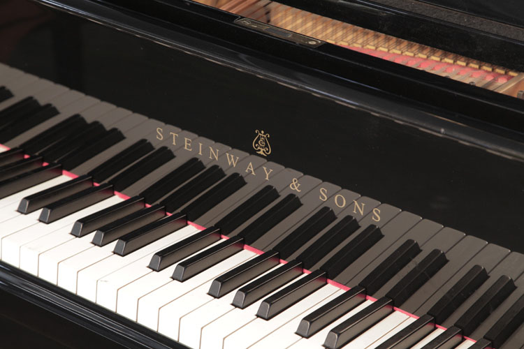 Steinway piano manufacturers logo on fall