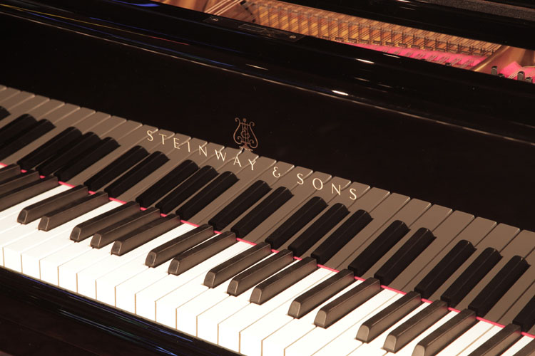 Steinway piano manufacturers logo on fall