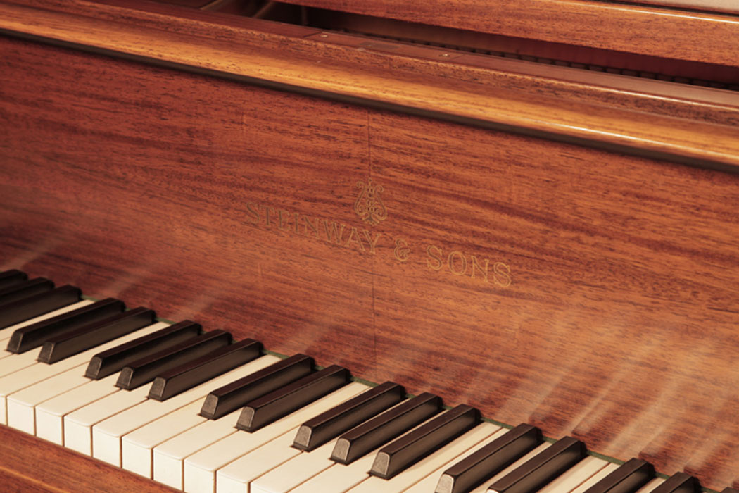 Steinway piano manufacturers logo on fall