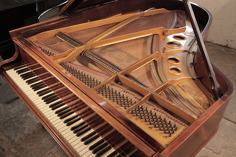Steinway instrument