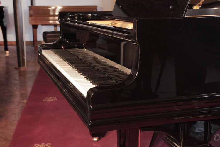 Steinway piano cheek 