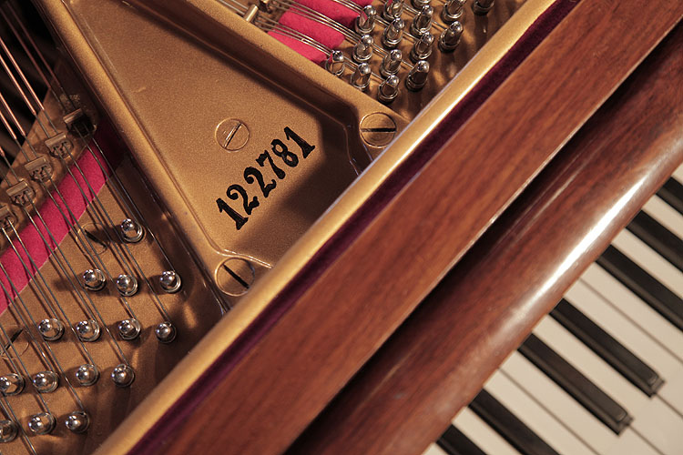 Steinway piano serial number
