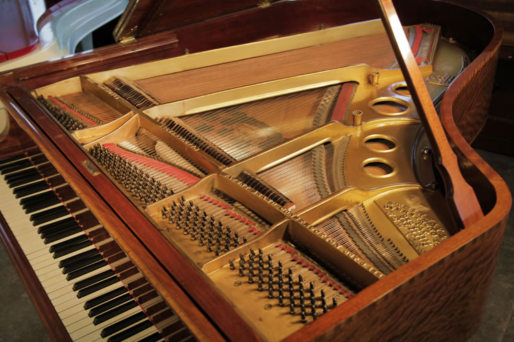 Steinway instrument