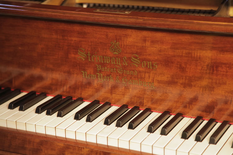 	Steinway piano manufacturers logo on fall