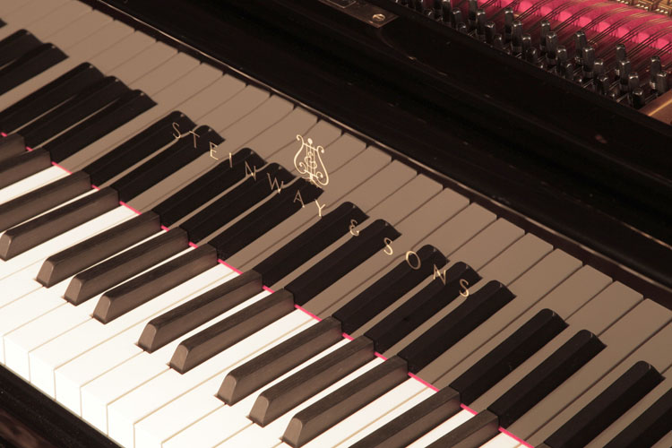	Steinway piano manufacturers logo on fall