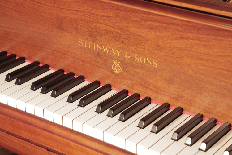 	Steinway piano manufacturers logo on fall