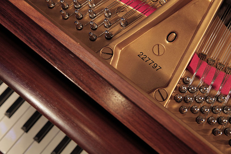 Steinway piano serial number on frame