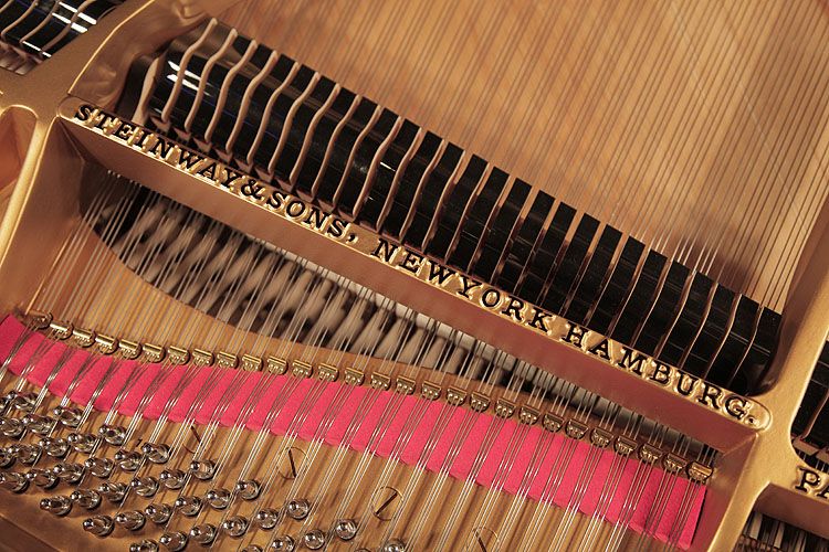 Steinway rebuilt instrument. Piano has been rebuilt in Germany by Steinway Academy trained technicians using 100% Steinway parts.