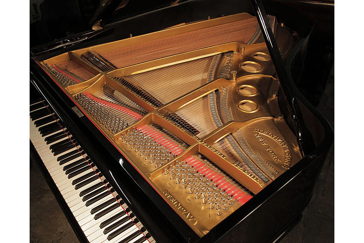 Steinway manufacturer's name on frame
