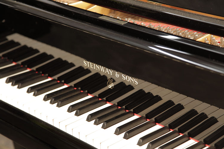 	Steinway piano manufacturers logo on fall